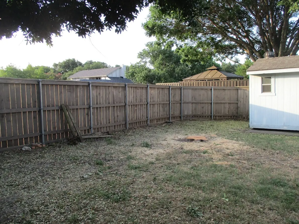 Cleared yard after professional tree removal in Harwich Port
